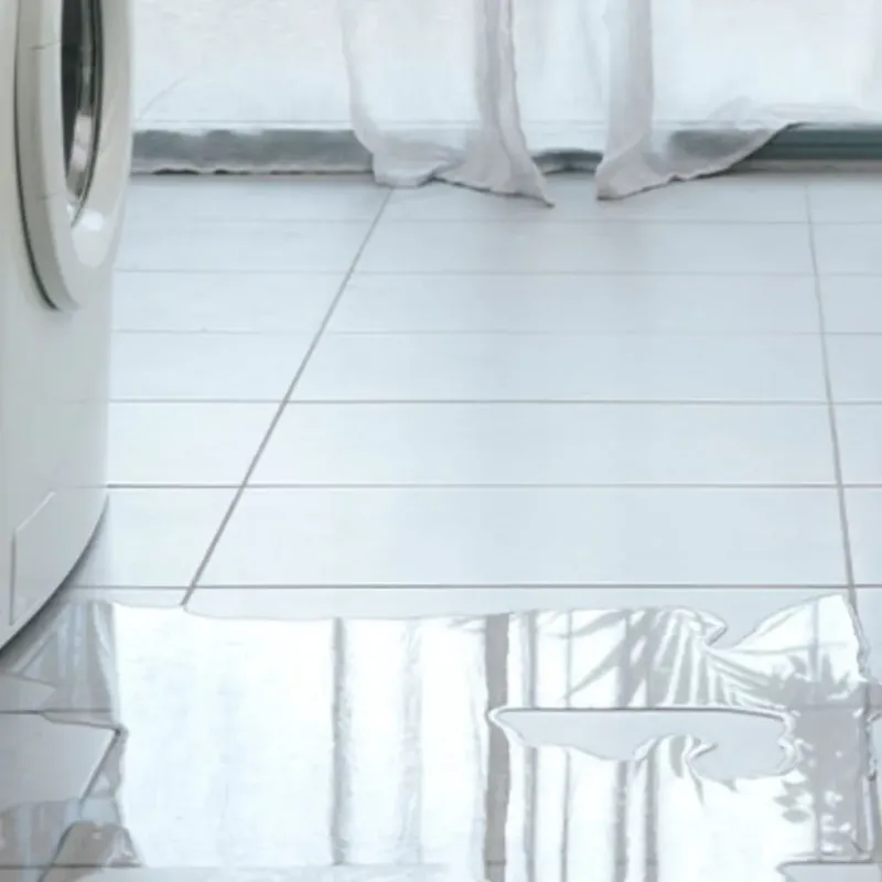 Appliance Leak Cleanup in Oakland, IA