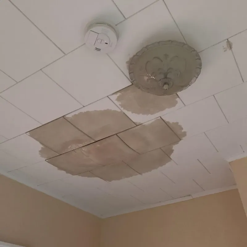 Ceiling Water Damage Repair in Oakland, IA