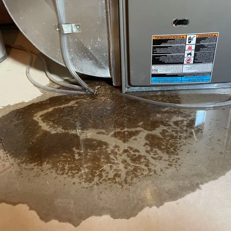 Pipe Burst and Leak Restoration in Oakland, IA