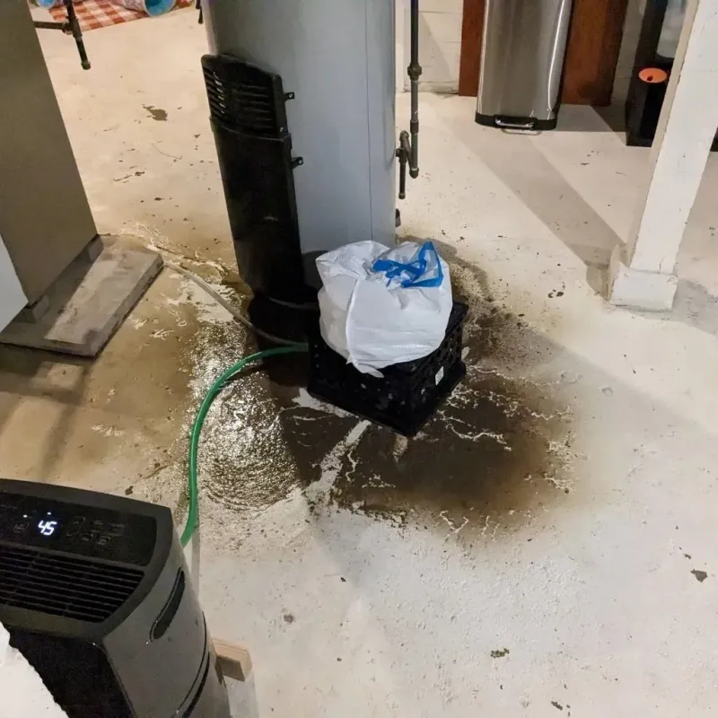Sewage Backup Cleanup Service in Oakland, IA